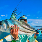 mariah flyfishing roosterfish in baja mexico